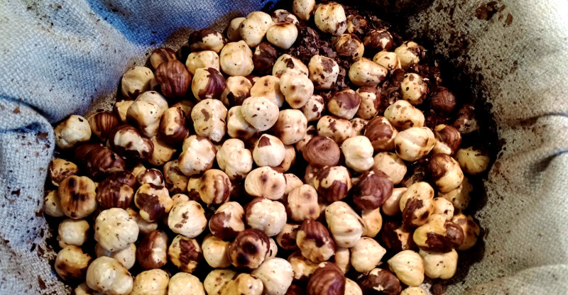 pealed toasted hazelnut